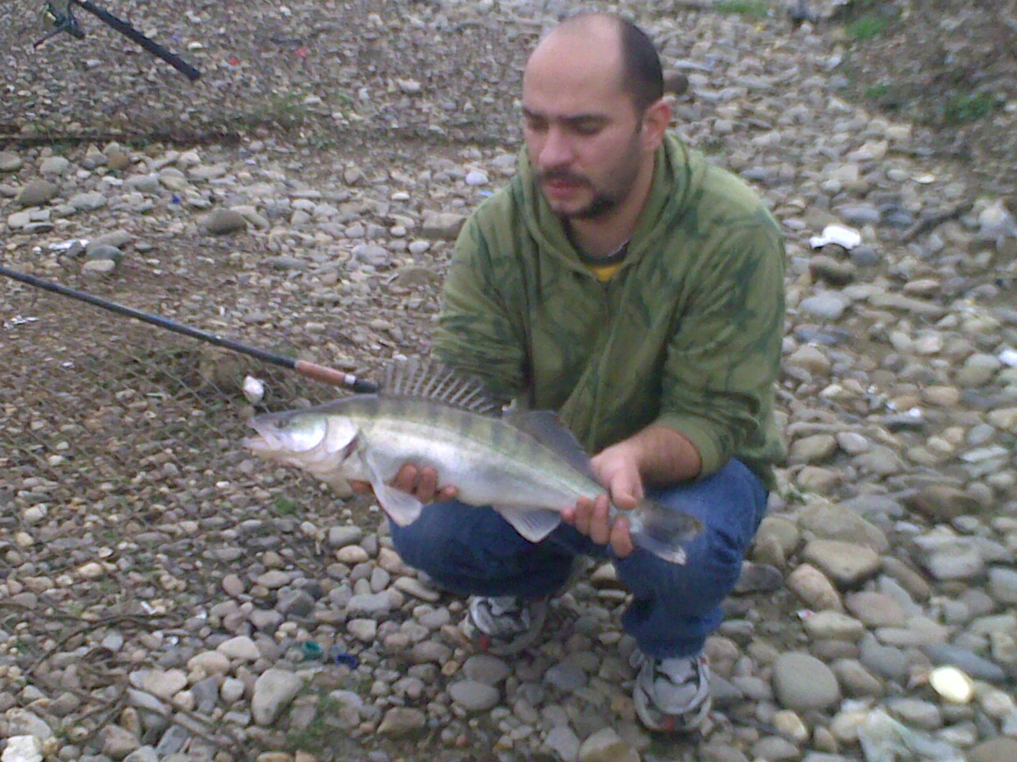 pescuit siret - un salau venit la viermusi
